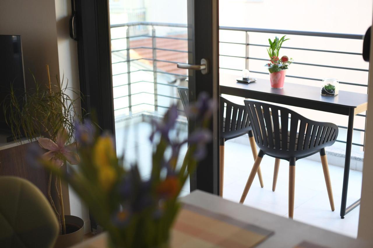 Apartment Maritimo 扎达尔 外观 照片